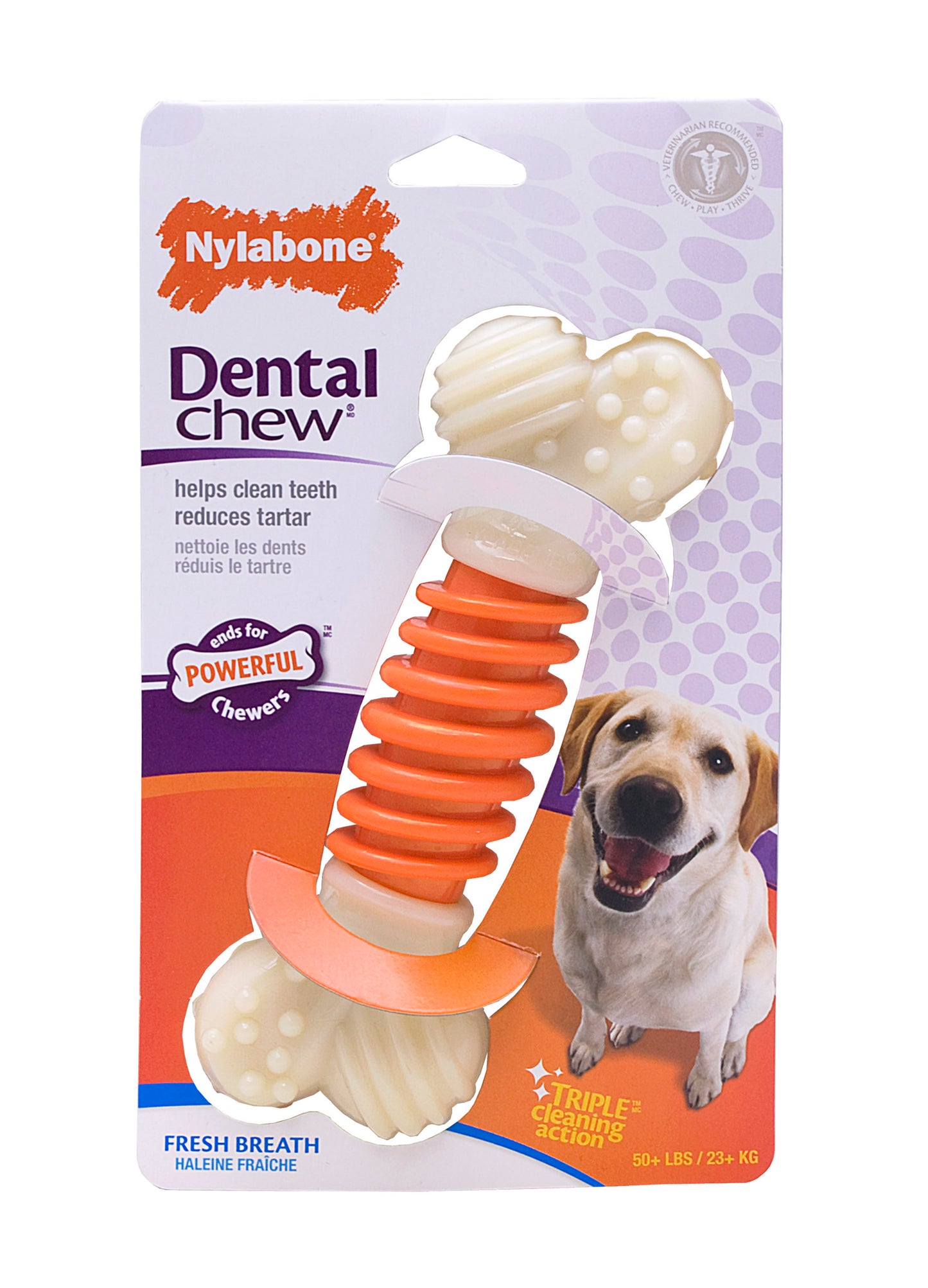 Nylabone Pro Action Dental Chew