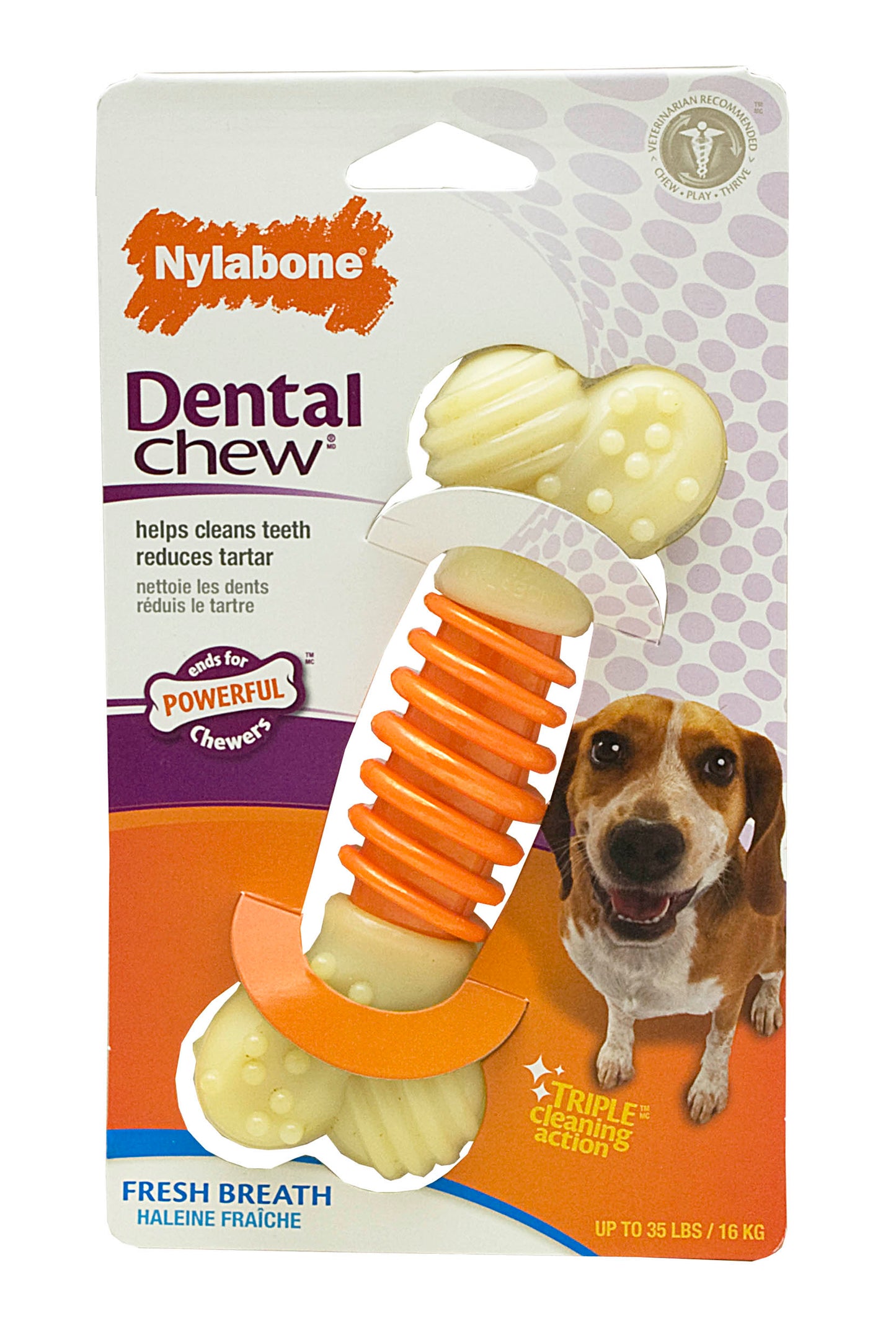 Nylabone Pro Action Dental Chew